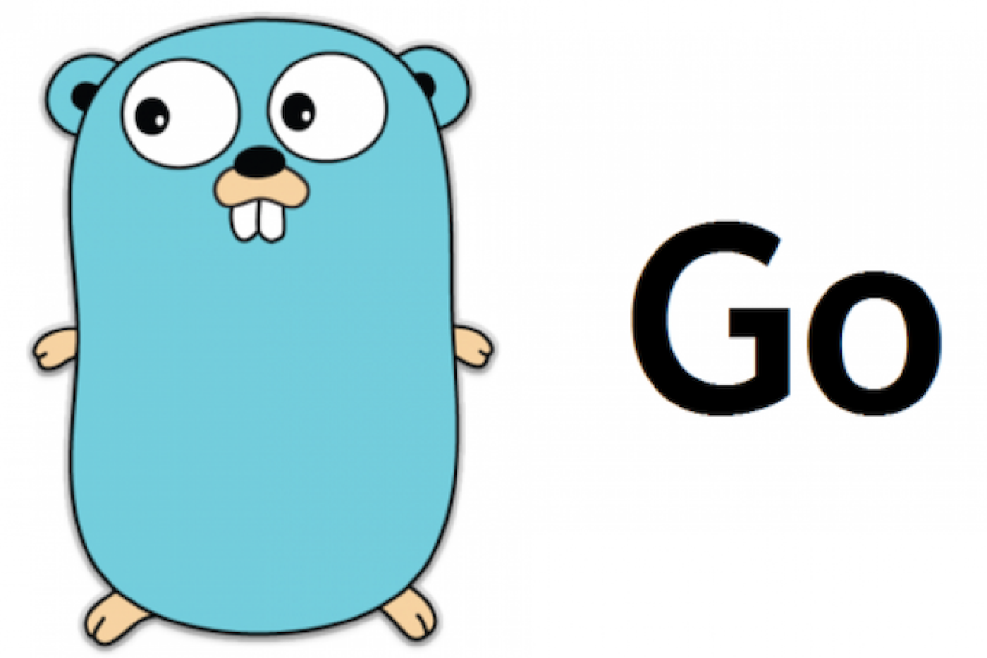Golang development